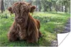MuchoWow® Poster Schottisches Hochlandrind - Kröte - Tiere Produktbild-Vorschau 1