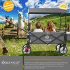 A family outing with alpacas in a grassy field, with children in a wagon. Produktbild-Vorschau