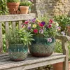 Two decorative planters filled with colorful flowers and herbs sit on a rustic wooden bench in a garden setting. Produktbild-Vorschau