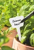 Penna Lumocolor nera da giardino Staedtler M Anteprima dell’immagine prodotto 9