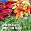 Compo Universaldünger - rosa Granulat - 7,5 kg - Produktbild-Vorschau 6