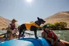 Giubbotto di salvataggio Ruffwear Float Coat, Anteprima dell’immagine prodotto 12