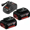 Pack 2 Batteries 5,0 Ah BOSCH 1600A00B8J GBA 18V + Chargeur Voir les images du produit 26