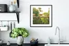 MuchoWow® Gerahmtes Poster Affen laufen auf Ast 40x40 cm - Produktbild-Vorschau 4