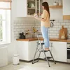 SONGMICS skládací žebřík se 3 příčkami, žebřík s madlem, z Náhled obrázku produktu 1
