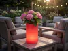 2er Set LED Blumentopf Deko Solarleuchten mit RGBW & Produktbild-Vorschau 6