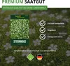 Sternmoos Mastkraut Plattenmoos Samen - Sagina subulata - Produktbild-Vorschau 8