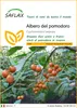 SAFLAX  - Albero del pomodoro - 50 semi - Cyphomandra Anteprima dell’immagine prodotto 1