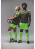 Erima Evo Star Jersey Khaki/grüner Gecko Produktbild-Vorschau 2