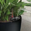 LECHUZA-Pot de plantes CLASSICO Color 35 gris ardoise | Pot Voir les images du produit 5