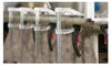 Bessey KliKlamp KLI 160/80 | KLI16 Voir les images du produit 15