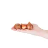 Bloomique - Mix 20 sztuk - Tulipa Double Mix - Podwójny Podgląd zdjęcia produktu 3