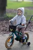 Sun Baby Verdant Rowan detský bicykel chlapci bicykel Náhľad obrázku produktu 7