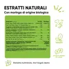 RedMoringa Moringa Kapseln Hochdosiert - 90 Vegane Kapseln Produktbild-Vorschau 13