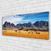 Acrylglasbilder 125x50 Wandbild Druck Wüste Landschaft Produktbild-Vorschau 2