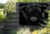 MuchoWow® Produktbild-Vorschau 5