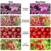 A collage comparing plant growth before and after using a product, showing lilies, succulents, tomatoes, and strawberries. Náhled obrázku produktu