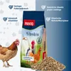 PANTO MilbenRein 3mm 10kg  - Geflügelfuttter für natürliche Produktbild-Vorschau 2