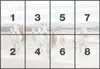 Komar Fototapete "White Horses", weiss/beige, 368 x 254 cm Produktbild-Vorschau 3