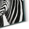 DEQOART Hybrid Leinwand Bild 50x50 cm 'Eleganz der Produktbild-Vorschau 5