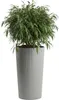 HowHomely | Pots de fleurs - Pots pour plantes - gris - lot Voir les images du produit 8