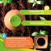 BioGreen Olla Pflanzenbewässerung "Hydro Max" in den Größen Produktbild-Vorschau 3