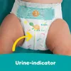 Pampers® Windeln baby-dry™ Monatsbox Größe Gr.7 (15+ kg) Produktbild-Vorschau 13