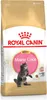 Royal Canin Feline Kitten Maine Coon 36 4kg Anteprima dell’immagine prodotto 3