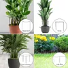 10 Stück Produktbild-Vorschau 6
