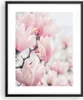Gerahmtes Poster - Schwarzer Rahmen - Magnolie Blumen Rosa Produktbild-Vorschau 1