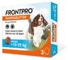 Frontpro Vlooien- en Teken Kauwtabletten Hond boven 10 tot Productafbeelding-voorbeeld 1