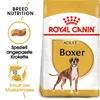 Breed Boxer 26 Adult 3 kg Produktbild-Vorschau 4