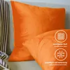 Lionmood Premium Samt Kissenbezug Orange 50x50cm -1er- Produktbild-Vorschau 4