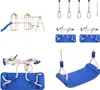 vidaXL Schaukelsitze mit Seilen 2 Stk. Blau 37x15 cm Produktbild-Vorschau 1