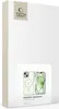 Tech-Protect Magmat Magsafe Iphone 15 Vert/Clair Voir les images du produit 6