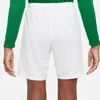Nike Hosen Dry Park Iii JR, BV6865102, Größe: 128 Produktbild-Vorschau 6