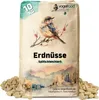 A bag of bird food with peanuts spilling out, set against a painted landscape.