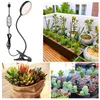 A collage of images showing a clip-on LED grow light and various potted succulents. Náhľad obrázku produktu