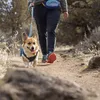 Ruffwear Stumptown™ Jacket Orion Blue Large Produktbild-Vorschau 8