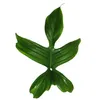 Philodendron Florida Beauty Green - Ami des arbres Voir les images du produit 3