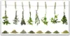 Glasbilder 120x60 Wandbild Druck auf Glas Blumen Pflanzen Produktbild-Vorschau 1