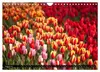Tulpen (Wandkalender 2027 DIN A4 quer), CALVENDO Produktbild-Vorschau 11