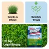 Roundup Rasen Unkrautfrei Rasendünger 9kg 450m² 2in1 100 Produktbild-Vorschau 3