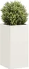 A white rectangular planter with a green bushy plant inside, set against a white background. Podgląd zdjęcia produktu