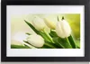 Bild 30x20 MDF-Rahmen Wandkunst Tulpen Blumen Pflanze Produktbild-Vorschau 1