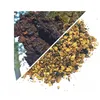 Herbs from Poland Chaga – Natürliche Unterstützung für das Produktbild-Vorschau 2