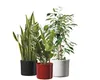 SÖNDGEN KERAMIK Kübel Miami Keramik weiß 20,0 x 17,0 cm Produktbild-Vorschau 4