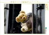 Calvendo Ein Motiv aus dem Kalender Teddy unterwegs 1000 Produktbild-Vorschau 3