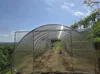 Gewächshaus Tunnel PROFI ZEUS 4x6 m | Treibhaus mit 6 mm Produktbild-Vorschau 8