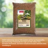 PANTO Mehlwürmer 5kg - ideal zur ganzjährigen Fütterung Produktbild-Vorschau 3